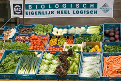 zuidbos markt
